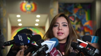 Manifestaciones por Camacho según la viceministra de Comunicación