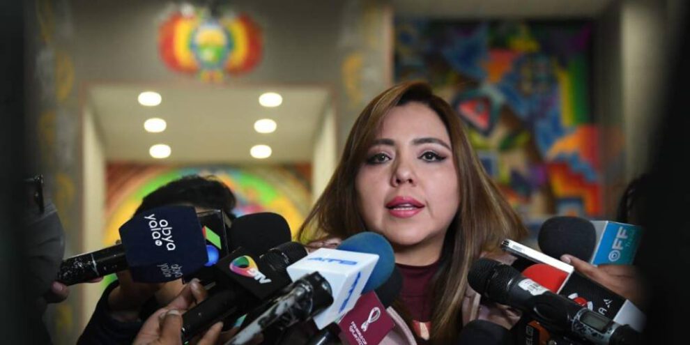 Manifestaciones por Camacho según la viceministra de Comunicación