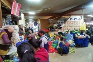 Afectación a la economía nacional por conflictos sociales en Santa Cruz