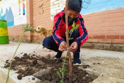 forestación en unidades educativas en La Kantuta 2