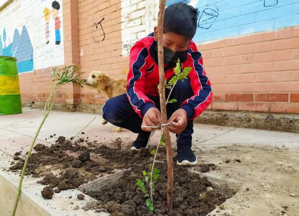 forestación en unidades educativas en La Kantuta 2