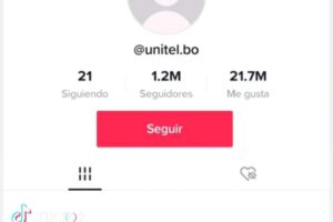 Cuenta de TikTok de Unitel interrumpida por un día
