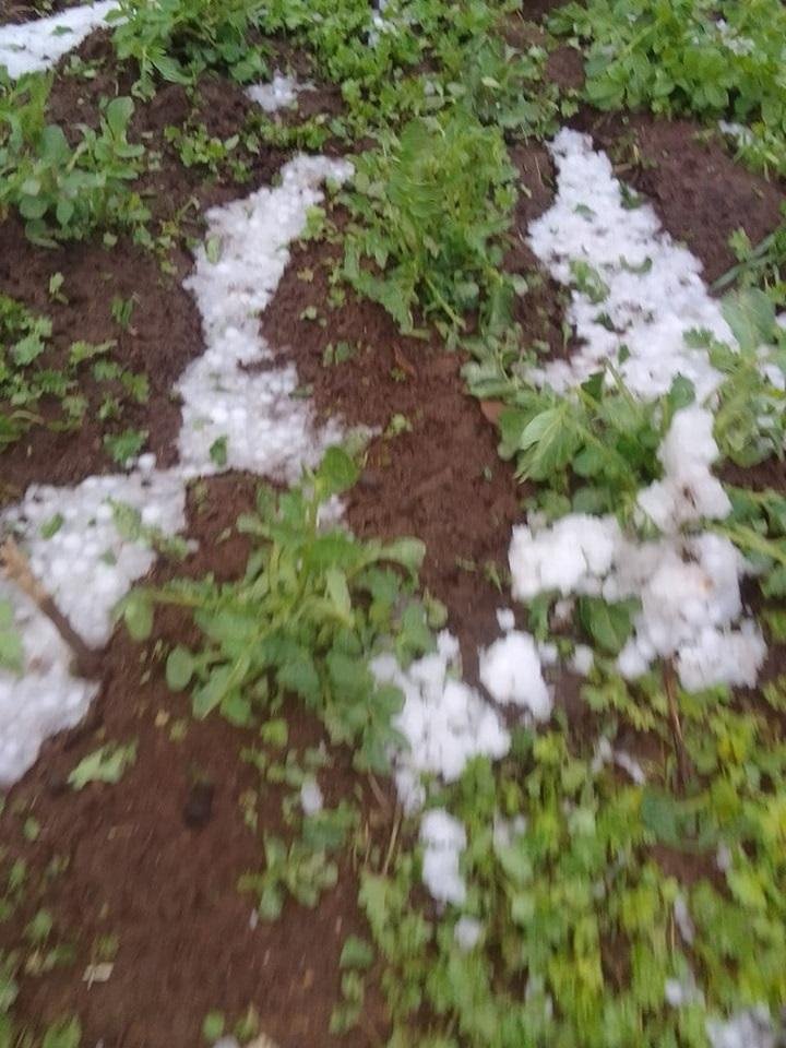 Granizada en Caracollo afectó a los cultivos