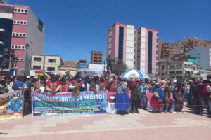 Enlosetado en municipios rurales de Oruro, La Paz y Potosí