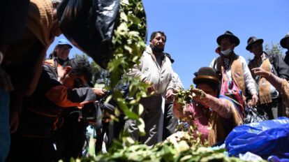 Desclasificación de la hoja de coca como estupefaciente