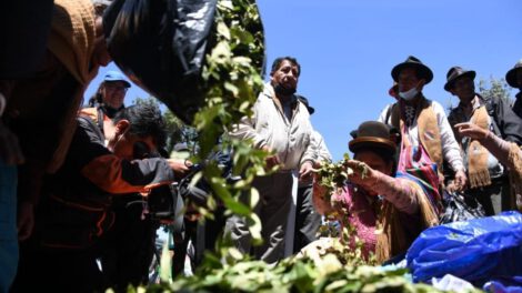 Desclasificación de la hoja de coca como estupefaciente