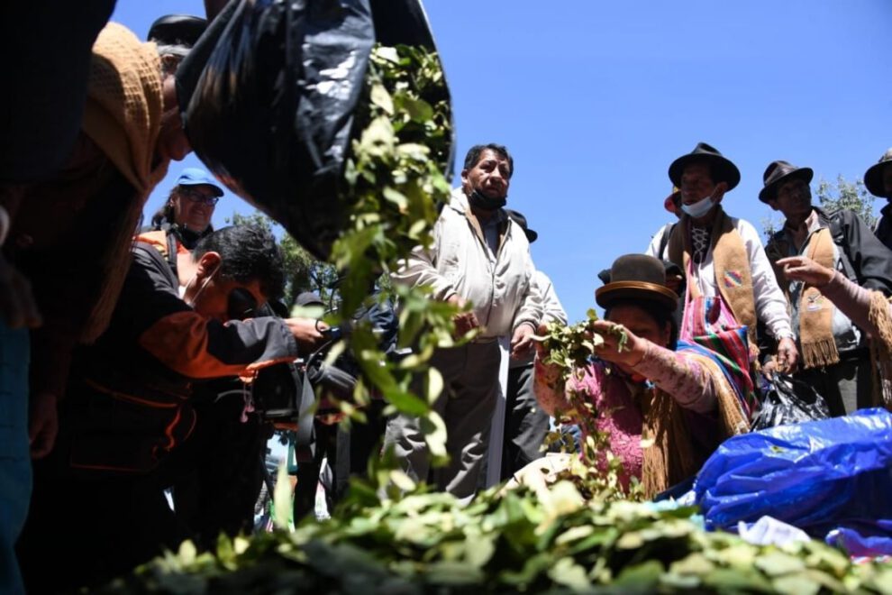Desclasificación de la hoja de coca como estupefaciente