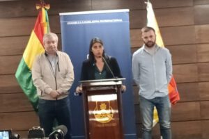 Juicio de Añez por la vía ordinaria es un golpe al Legislativo