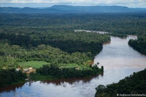 Deforestación de la Amazonía brasileña