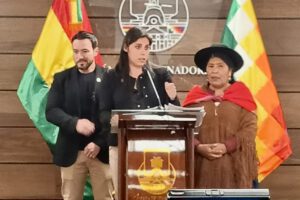 acción de inconstitucionalidad presentada por Comunidad Ciudadana contra el Gobierno
