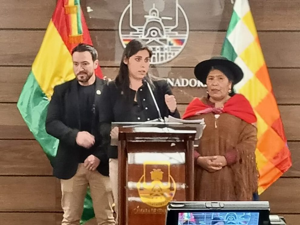 acción de inconstitucionalidad presentada por Comunidad Ciudadana contra el Gobierno