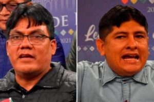 Diputado Arce le pide a su colega del MAS a que tome destontín y ubicatex
