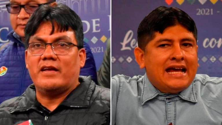Diputado Arce le pide a su colega del MAS a que tome destontín y ubicatex
