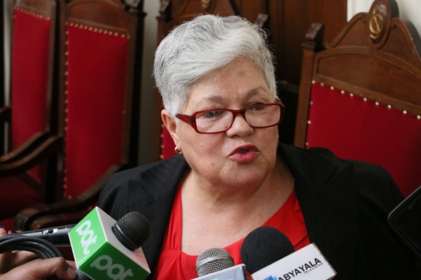 Proyecto de ley para elecciones judiciales presentado por Silvia Salame