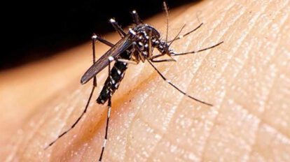 casos de dengue en Bolivia