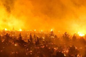 Incendios en Chile dejan decenas de muertos