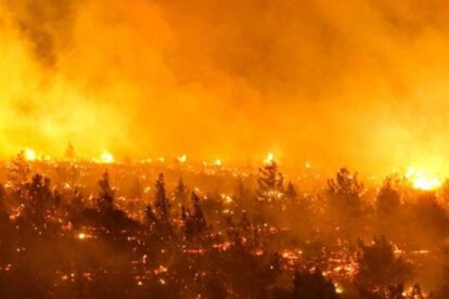 Incendios en Chile dejan decenas de muertos