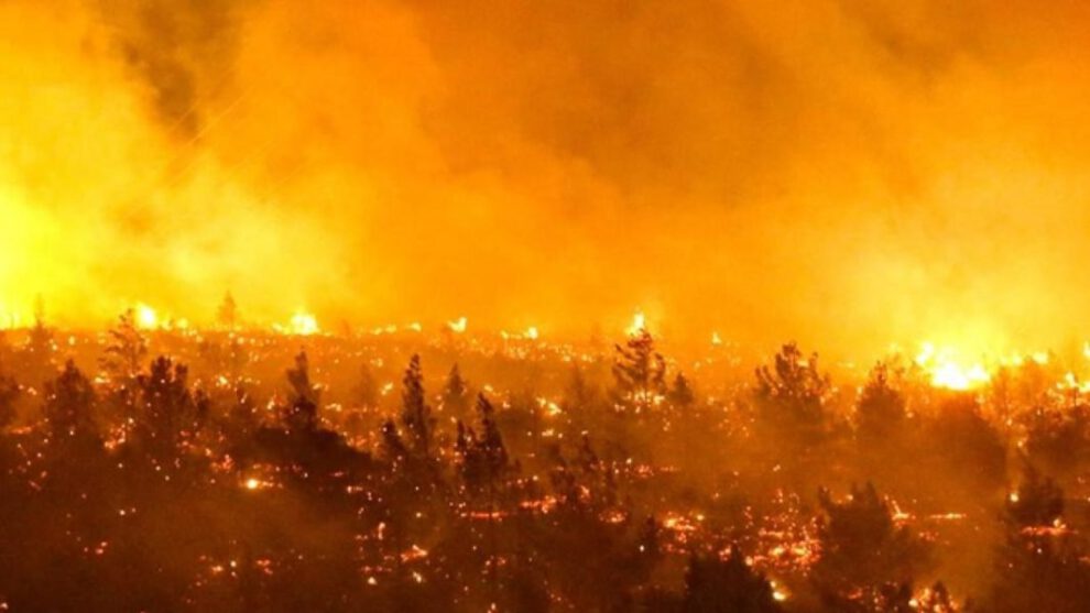 Incendios en Chile dejan decenas de muertos