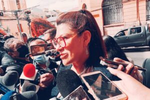 Observaciones al estatuto del MAS revisadas por la Comisión de Admisión