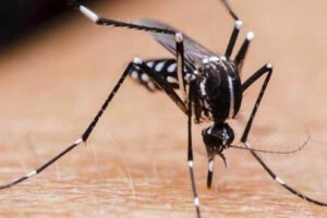 Dengue en Bolivia