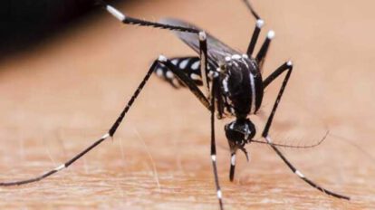 Dengue en Bolivia