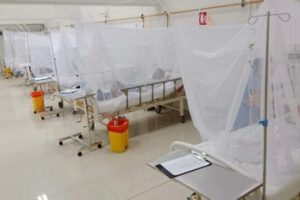 Dengue en Santa Cruz