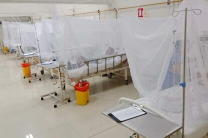 Dengue en Santa Cruz