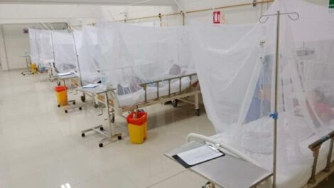Dengue en Santa Cruz