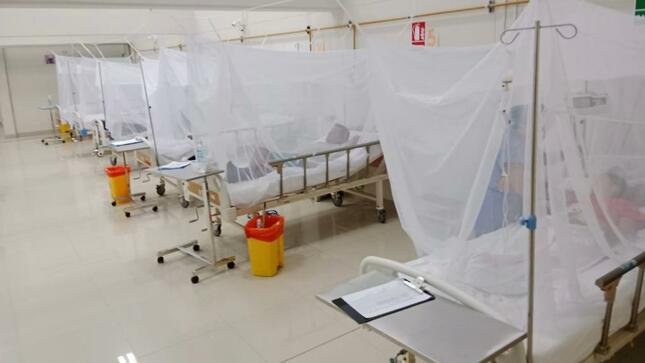 Dengue en Santa Cruz
