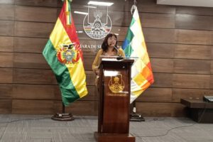 Irregularidades en firma de convenio por el litio