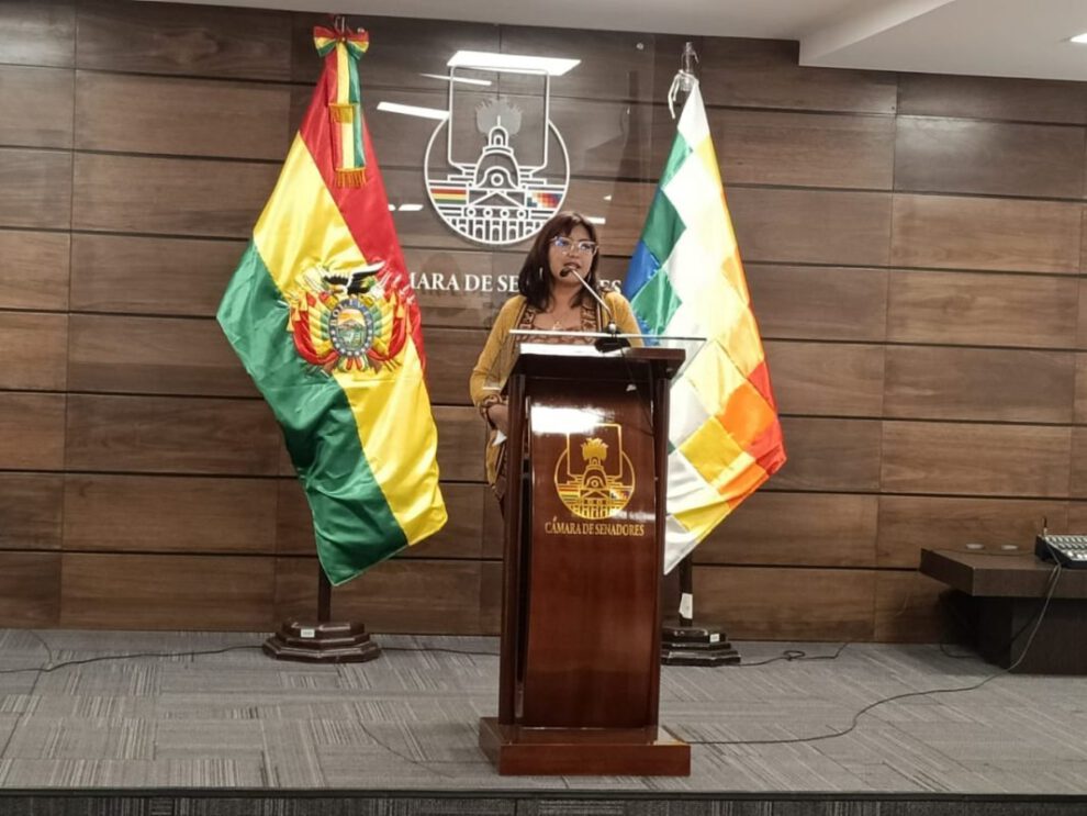 Irregularidades en firma de convenio por el litio
