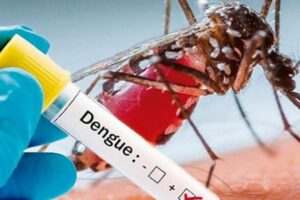 Dengue en Bolivia: Muestra positiva de dengue
