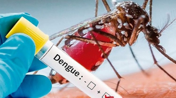 Dengue en Bolivia: Muestra positiva de dengue