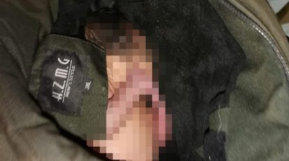 Bebé abandonado en casa de perro en vía pública