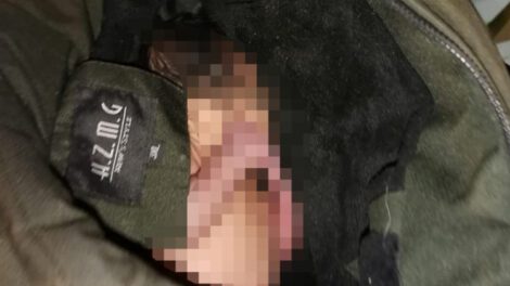 Bebé abandonado en casa de perro en vía pública