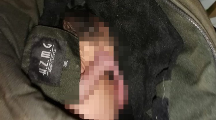 Bebé abandonado en casa de perro en vía pública