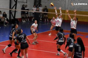 Freddy León reelegido como presidente de la Federación Boliviana de Voleibol