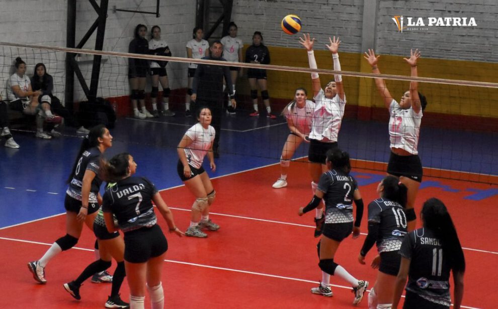 Freddy León reelegido como presidente de la Federación Boliviana de Voleibol