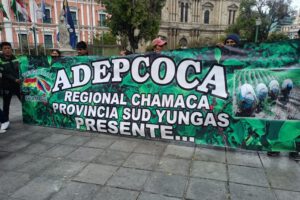 Integrantes de la Asociación Departamental de Productores de Coca (Adepcoca) de la Regional Chamaca