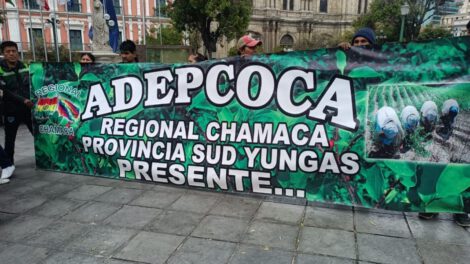 Integrantes de la Asociación Departamental de Productores de Coca (Adepcoca) de la Regional Chamaca
