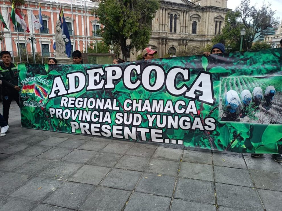 Integrantes de la Asociación Departamental de Productores de Coca (Adepcoca) de la Regional Chamaca