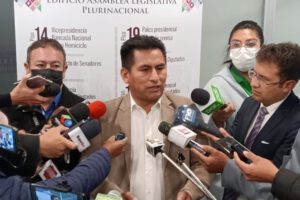 negociaciones con Elon Musk según diputado del MAS