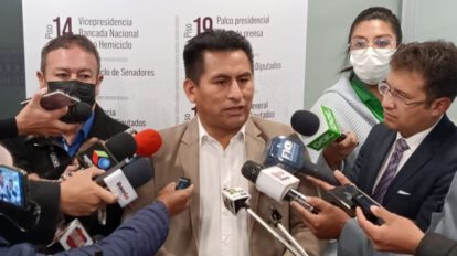 negociaciones con Elon Musk según diputado del MAS