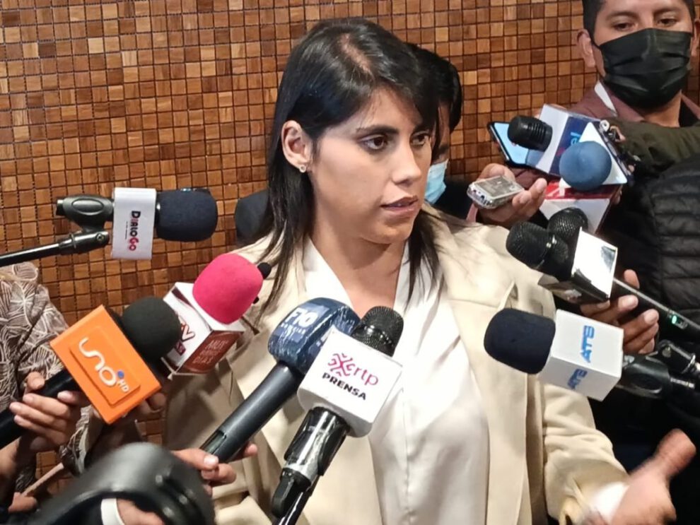 Reglamentación de elecciones judiciales según Andrea Barrientos