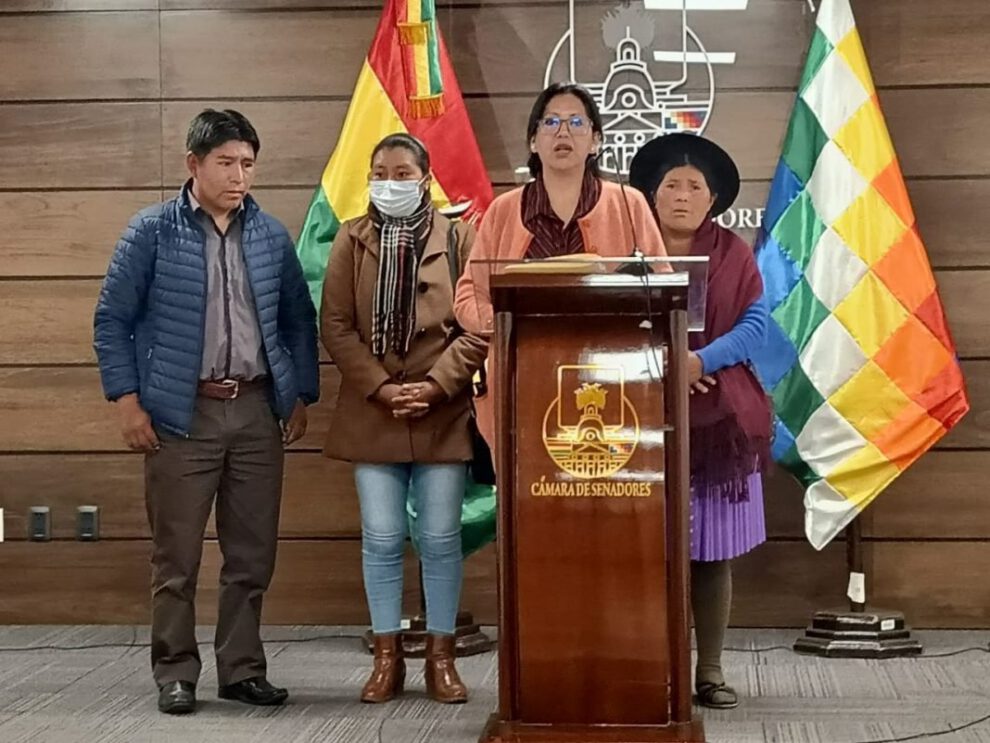 Excanciller y empresa china en el negocio del litio