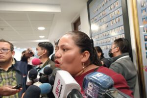 mercenarios digitales según Deisy Choque del MAS