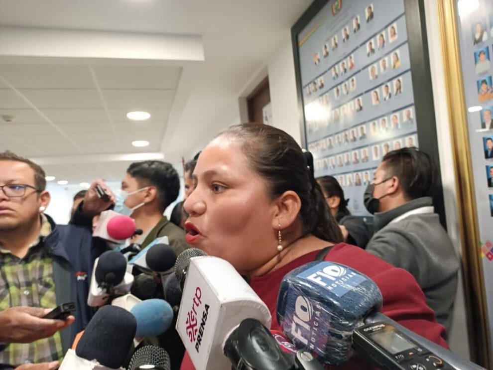 mercenarios digitales según Deisy Choque del MAS