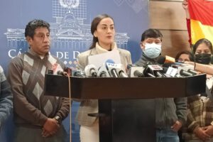 Decreto Supremo 4740 y su impacto en la economía de las familias bolivianas