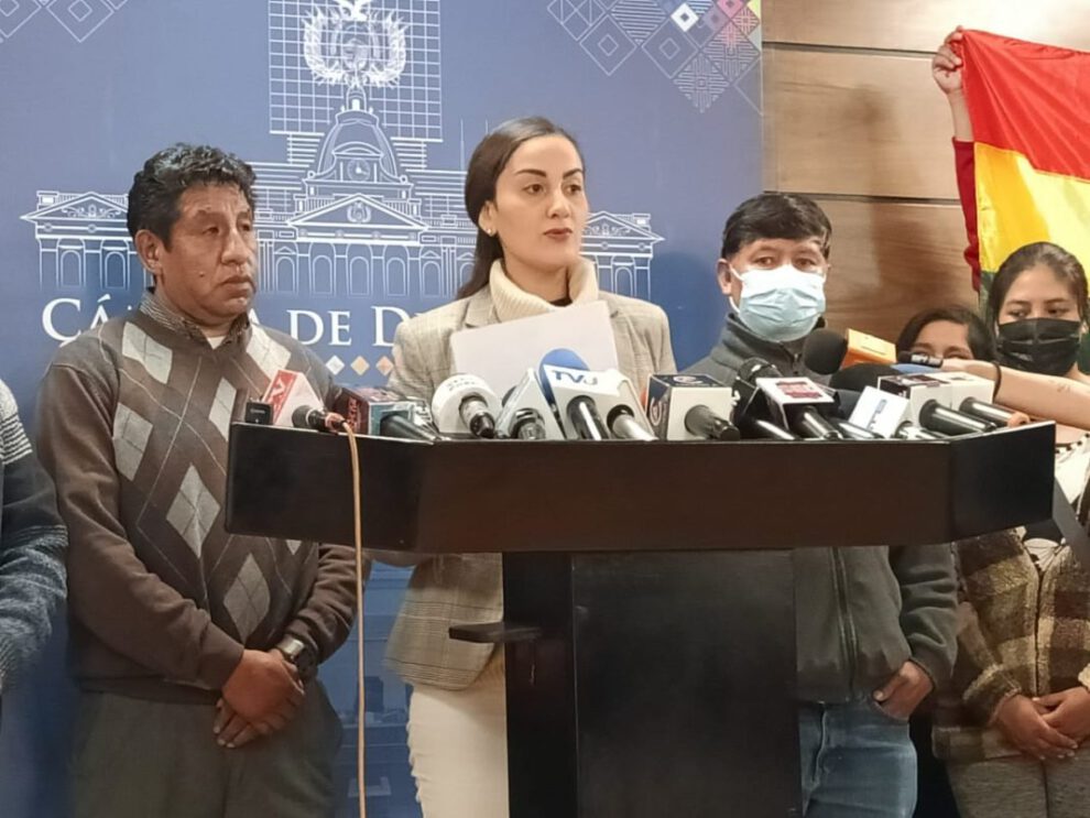 Decreto Supremo 4740 y su impacto en la economía de las familias bolivianas