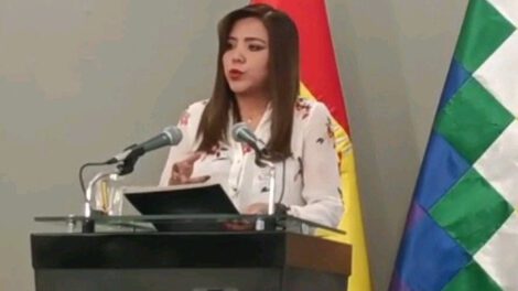 Plan mediático y político según viceministra Alcón